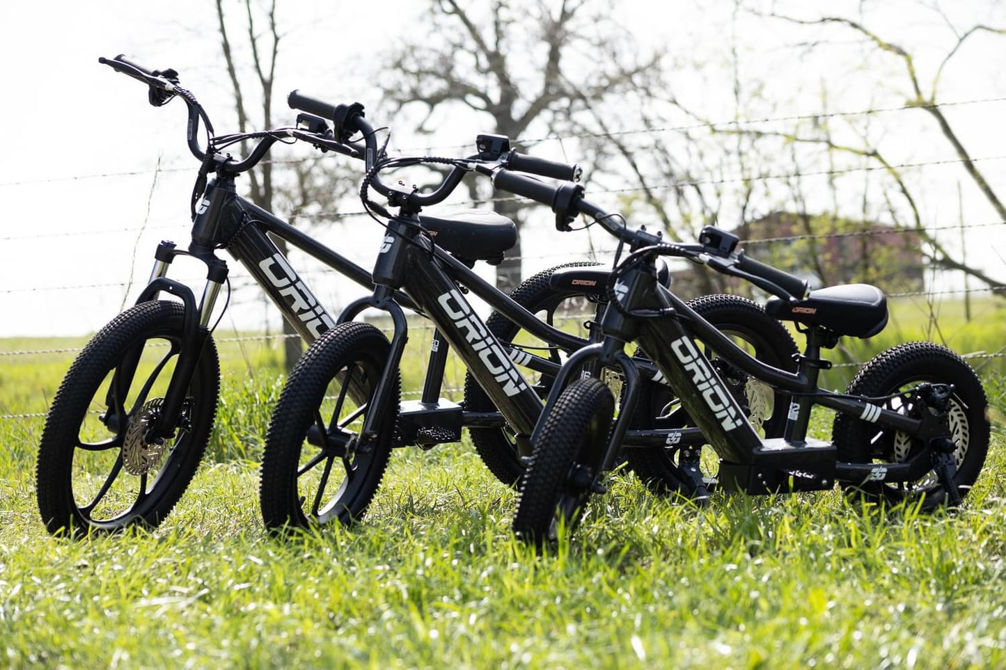 Orion e16S 16" 350W 36V 5.2ah Electric Balance Bike - SOLD OUT