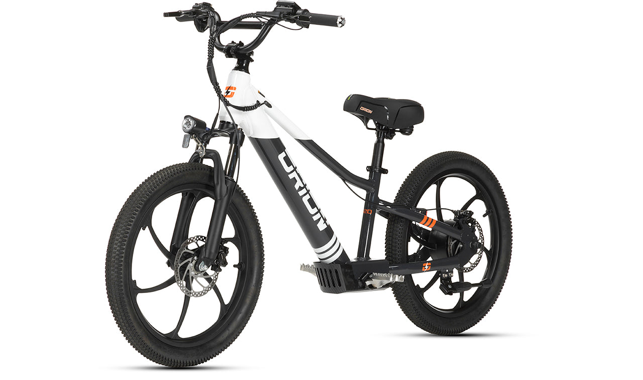 Orion e20X 20" 500W 48V 8ah Electric Balance Bike - PRE-ORDER - EXPECTED SHIPPING MID MAY