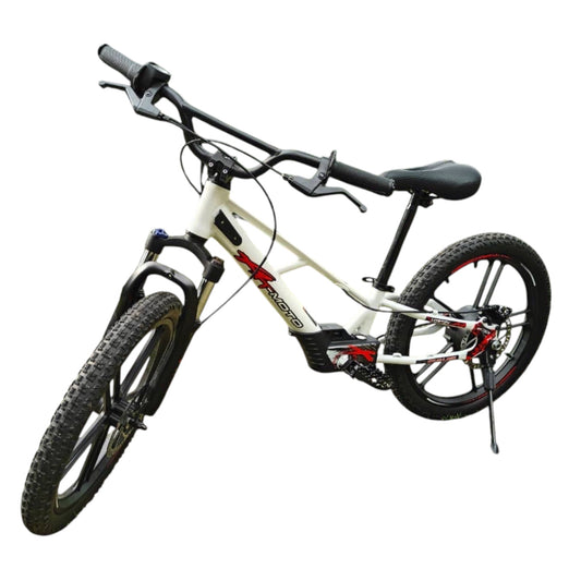 XRT Moto 20” REBEL ECO 350W 36V 5.2ah
