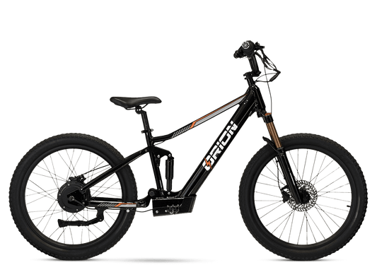 Orion e24X 24" 750W 62V 12ah Electric Balance Bike - FAST & FREE SHIPPING
