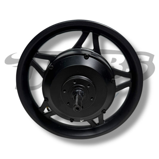 12” 250W Rear Motor Hub and Wheel Assembly