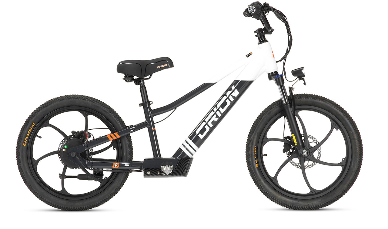 Orion e20X 20" 500W 48V 8ah Electric Balance Bike - PRE-ORDER - EXPECTED SHIPPING MID MAY