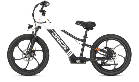 Orion e20X 20" 500W 48V 8ah Electric Balance Bike - PRE-ORDER - EXPECTED SHIPPING MID MAY