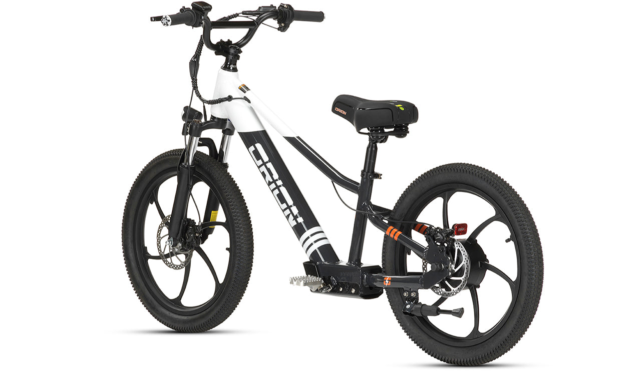 Orion e20X 20" 500W 48V 8ah Electric Balance Bike - PRE-ORDER - EXPECTED SHIPPING MID MAY