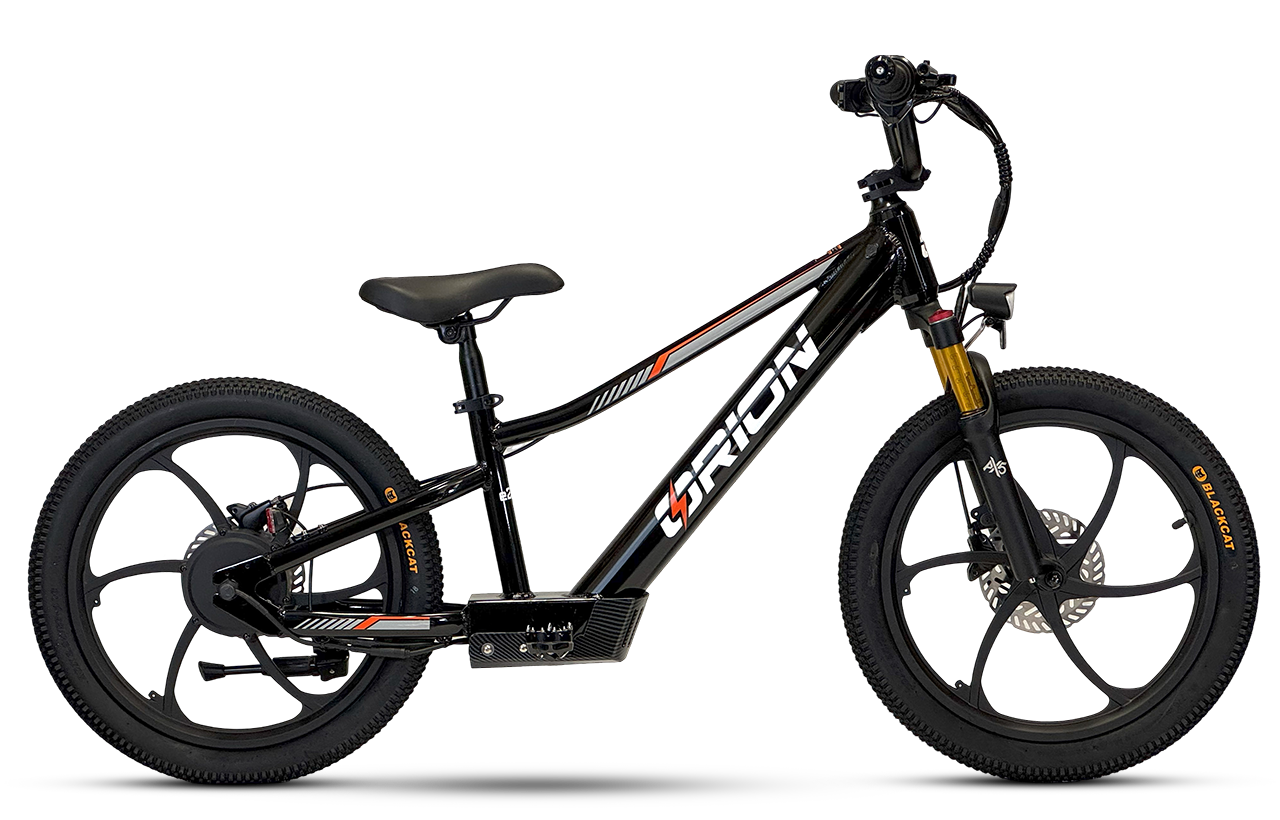 Orion e20X 20" 500W 48V 8ah Electric Balance Bike - FAST & FREE SHIPPING