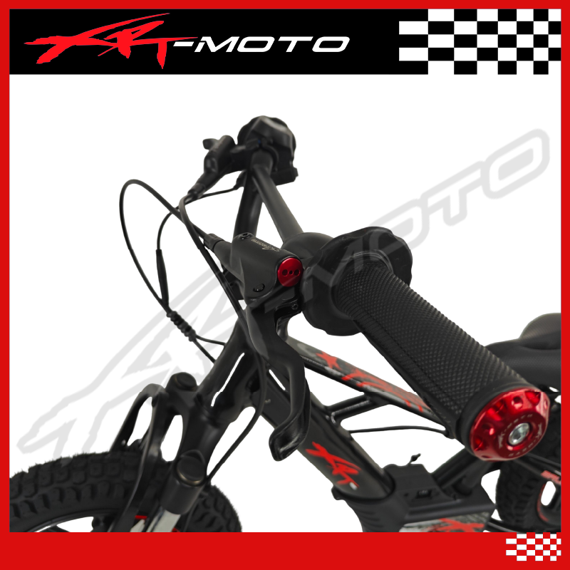 XRT Moto 12" Fury-X 36V 350W **PRE-ORDER ONLY**