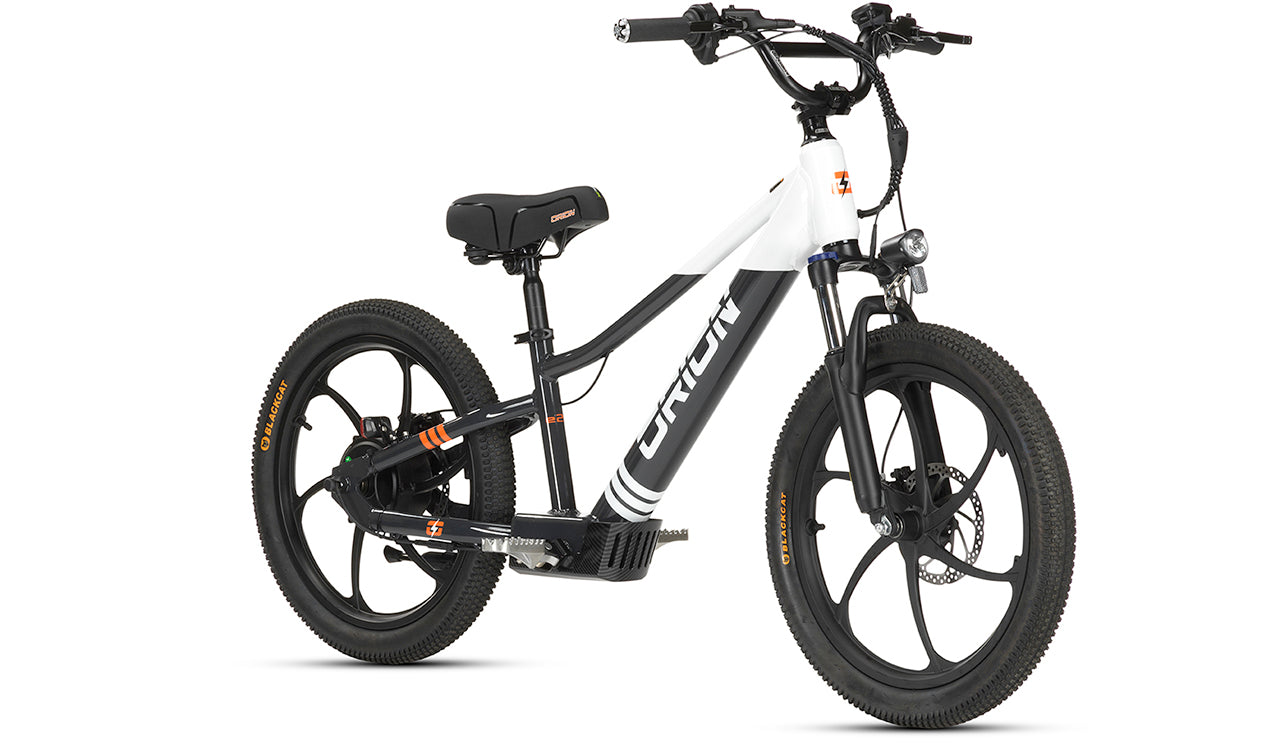 Orion e20X 20" 500W 48V 8ah Electric Balance Bike - PRE-ORDER - EXPECTED SHIPPING MID MAY