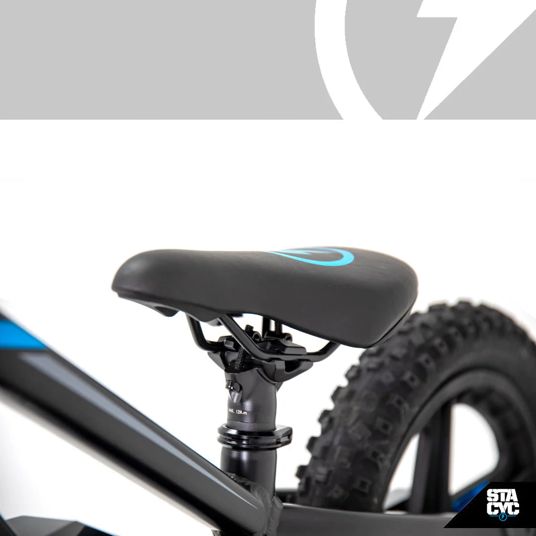 STACYC 16EDRIVE ELITE 36V - FREE SHIPPING - CALL FOR PRICING