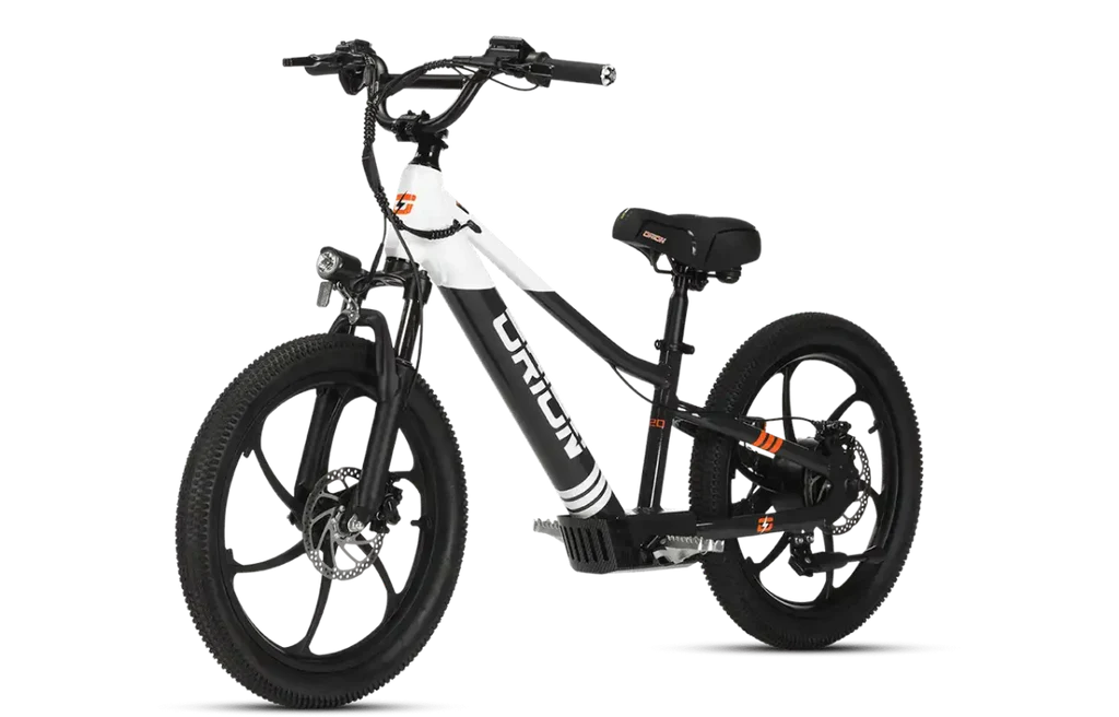 e12-20 Wire Harness (X-Model Only) | ORION 2024 & 2025