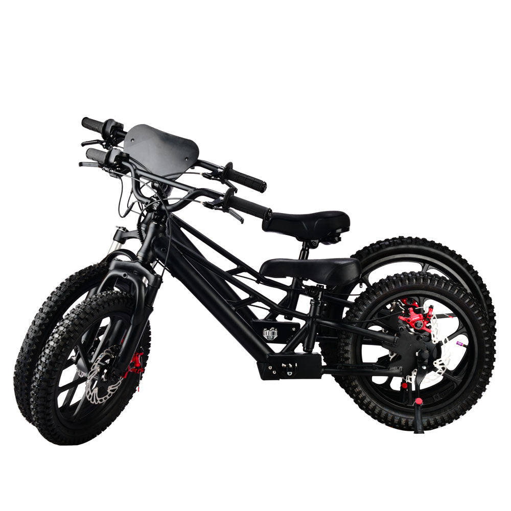 Pur-Speed eBike