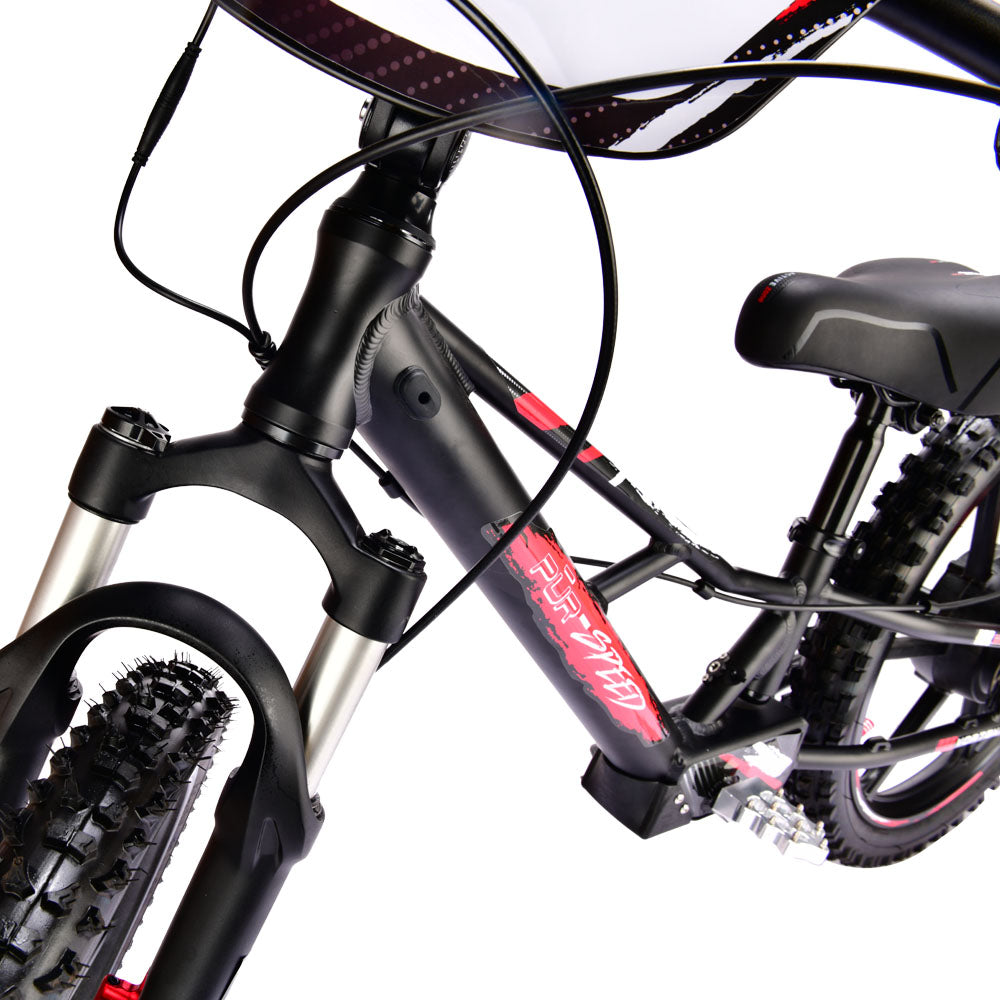 Pur-Speed 20" Xtreme 500W 48V 4ah - FREE SHIPPING