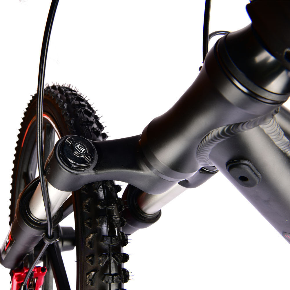 Pur-Speed 20" Xtreme 500W 48V 4ah - FREE SHIPPING