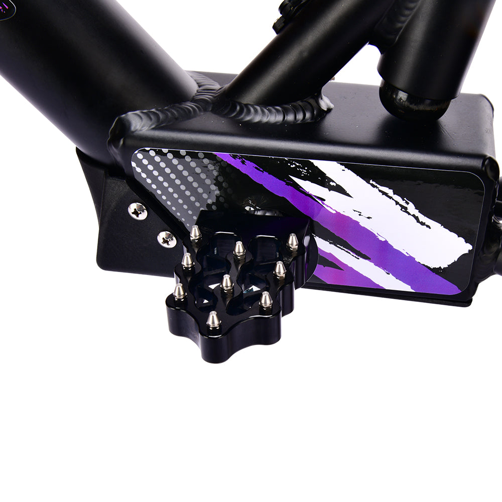Pur-Speed 20" Xtreme 500W 48V 4ah - FREE SHIPPING