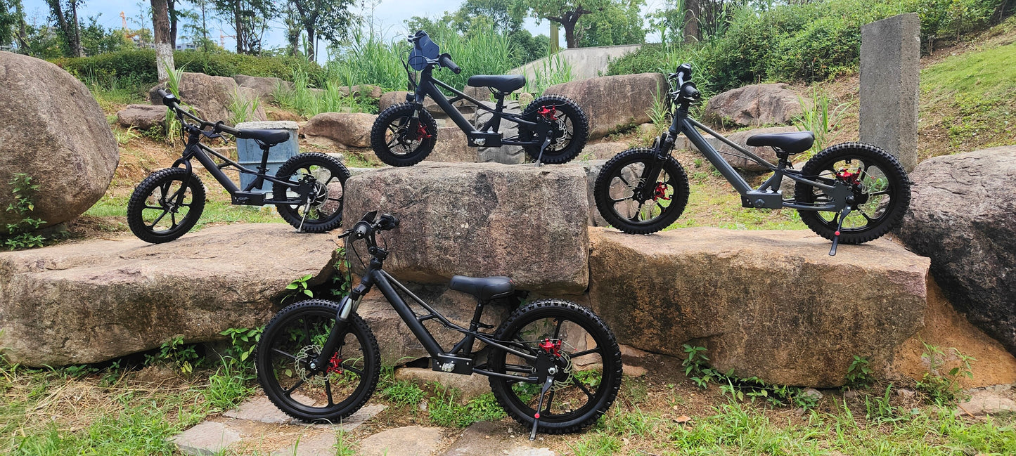 Pur-Speed eBikes