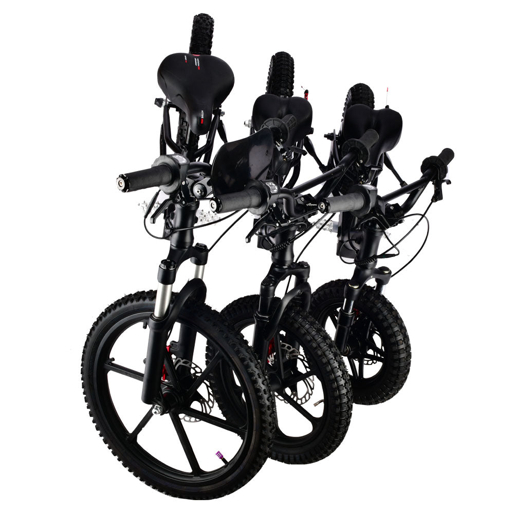 Pur-Speed 20" Xtreme 500W 48V 4ah - FREE SHIPPING