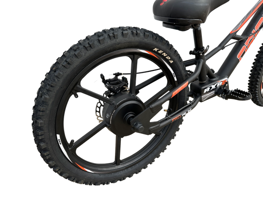 Orion RXBE20 - 48V 500W - Black