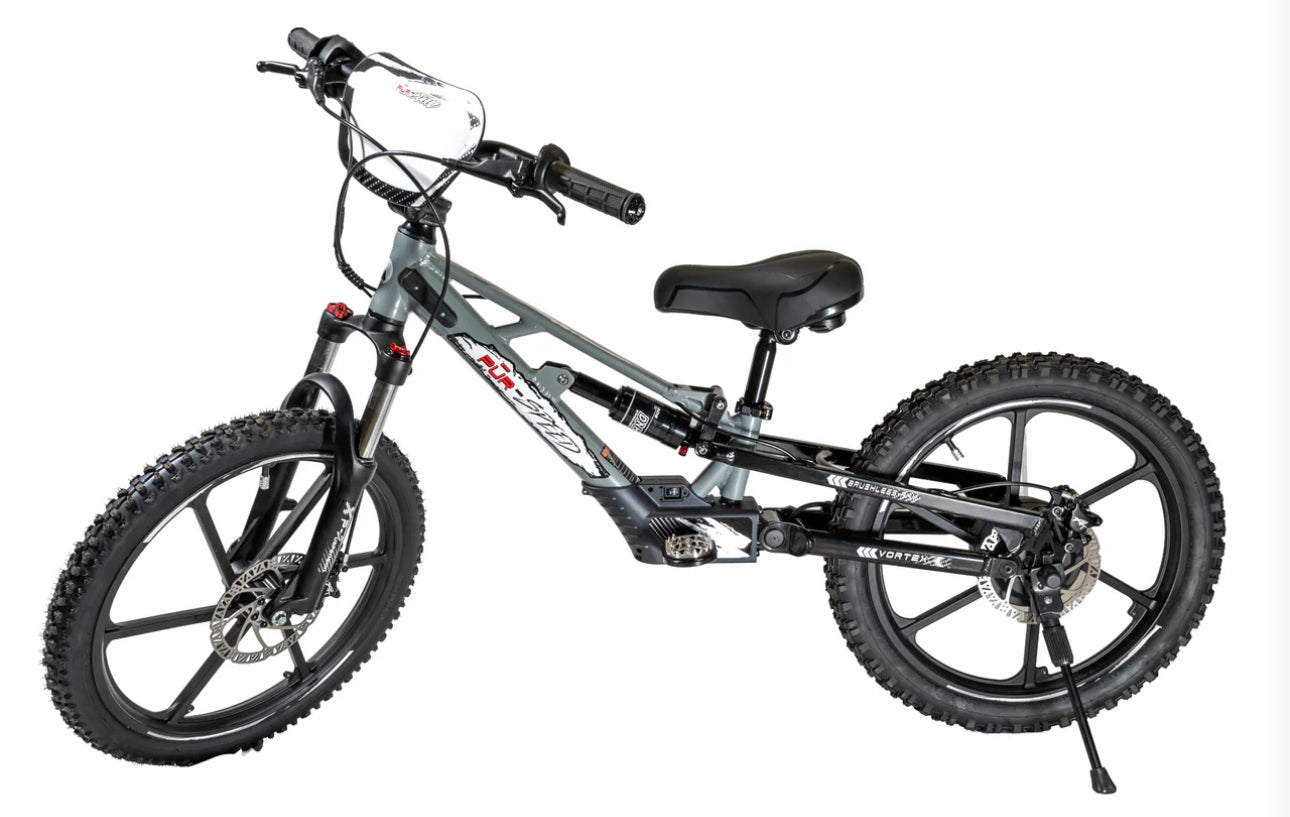 **ALL NEW** Pur-Speed 20" Xtreme Ultra 500W 52V 5ah