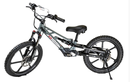 **ALL NEW** Pur-Speed 20" Xtreme Ultra 500W 52V 5ah