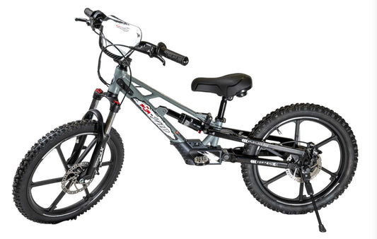 **ALL NEW** Pur-Speed 20" Xtreme Ultra 500W 52V 5ah