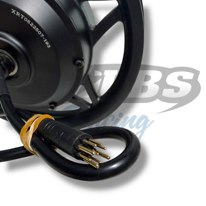 12” 250W Rear Motor Hub and Wheel Assembly