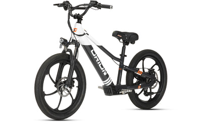 2024 Orion e20X 20" 500W 48V 8ah Electric Balance - FAST & FREE SHIPPING