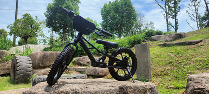 XRT MOTO 16S 350W 36V 5ah