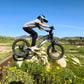 Voltaic Youth Electric Dirt Bike 20'' Flying Fox 36V - SOLD OUT