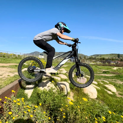 Voltaic Youth Electric Dirt Bike 20'' Flying Fox 36V