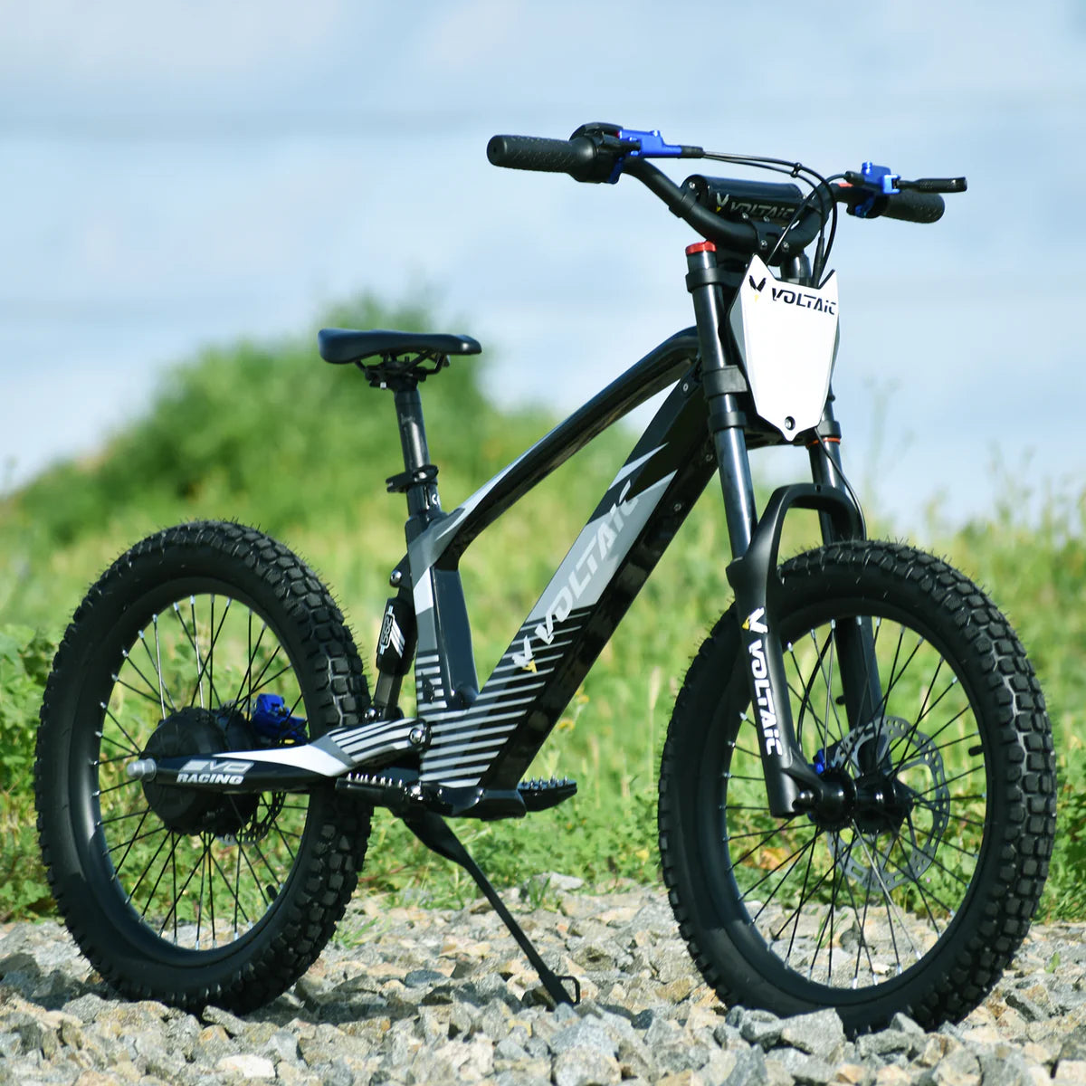 Voltaic Youth Electric Dirt Bike 20'' Flying Fox 36V - SOLD OUT