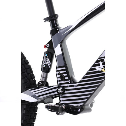 Voltaic Youth Electric Dirt Bike 20'' Flying Fox 36V