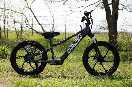NEW 2024 - Orion e20S 20" 500W 48V 5.2ah Electric Balance Bike (Call for Availability)