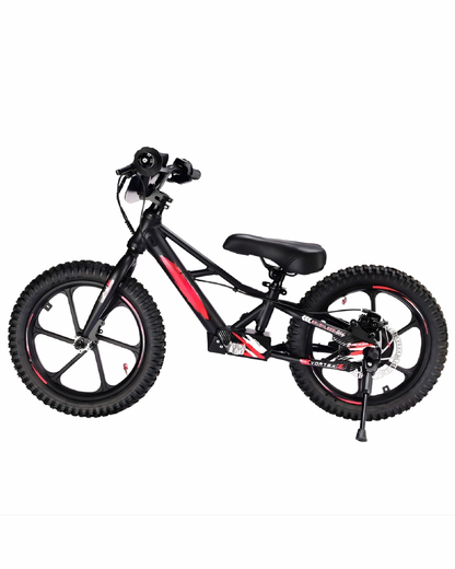 XRT MOTO 16S 350W 36V 5ah