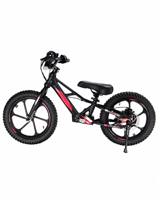 XRT MOTO 16S 350W 36V 5ah