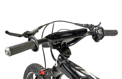 **ALL NEW** Pur-Speed 16" Xtreme Ultra - 350W 52V 5ah