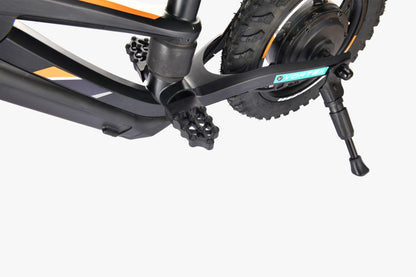 XRT 12" Mini - FREE SHIPPING