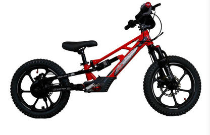 **ALL NEW** Pur-Speed 16" Xtreme Ultra - 350W 52V 5ah