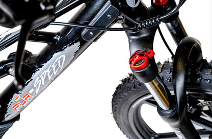 **ALL NEW** Pur-Speed 20" Xtreme Ultra 500W 52V 5ah