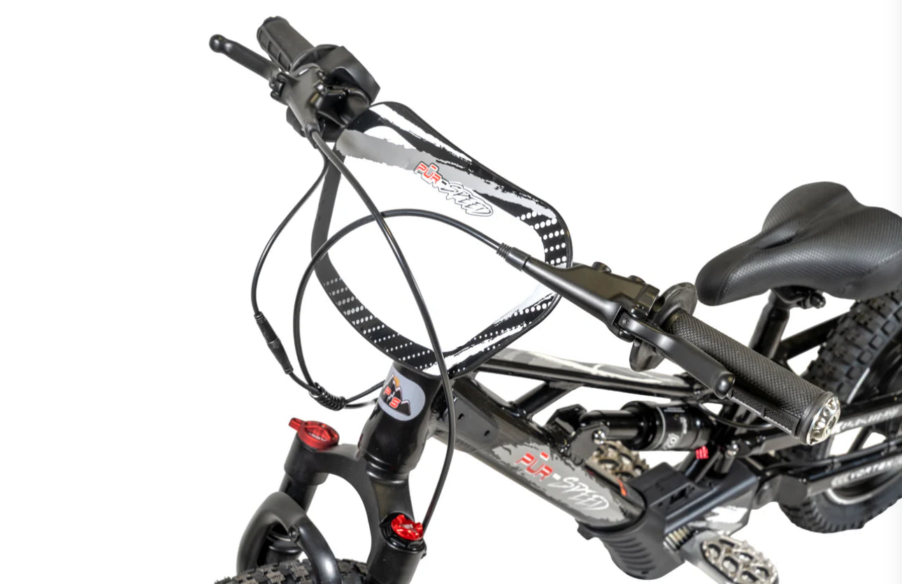 **ALL NEW** Pur-Speed 16" Xtreme Ultra - 350W 52V 5ah