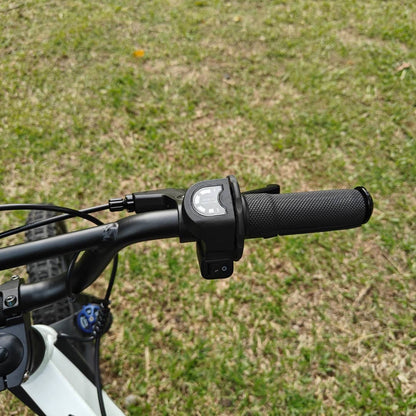XRT Moto 20” REBEL ECO 350W 36V 5.2ah