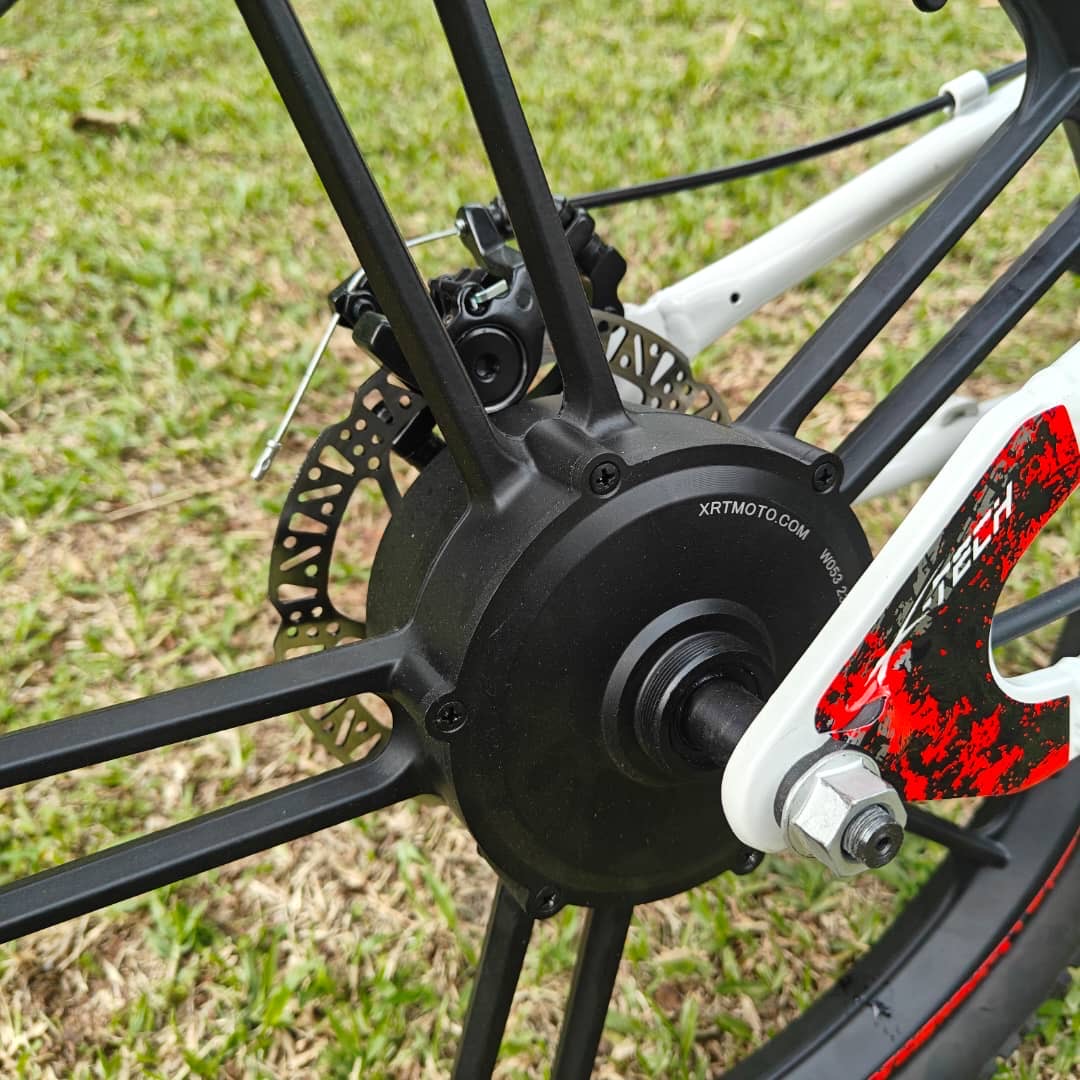 XRT Moto 20” REBEL ECO 350W 36V 5.2ah