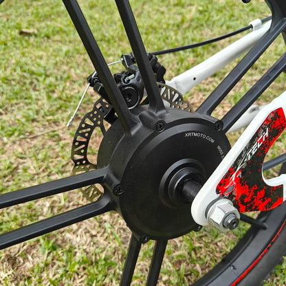 XRT Moto 20” REBEL ECO 350W 36V 5.2ah