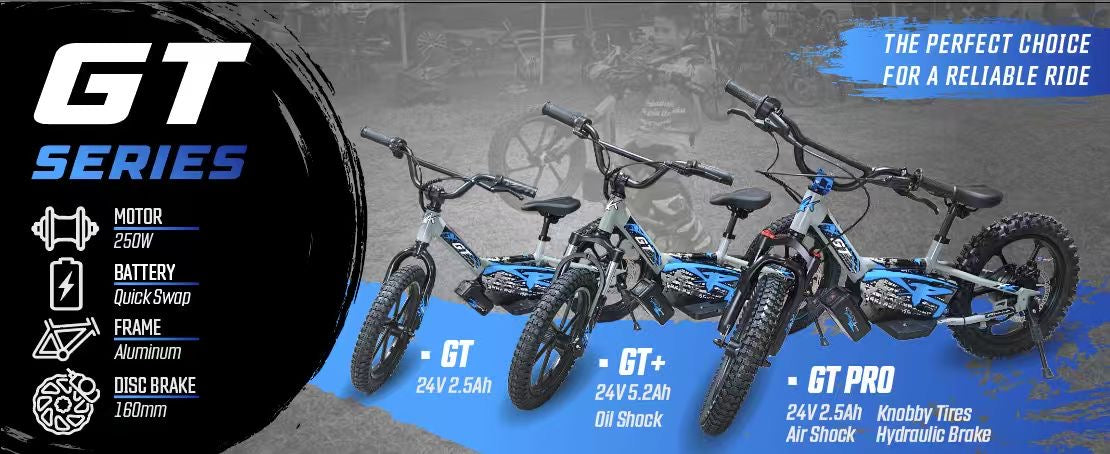 XRT Moto 16" GT PRO 36V 5.2AH 350W with Extra Battery