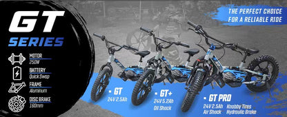 XRT Moto 16" GT PRO 36V 5.2AH 350W with Extra Battery