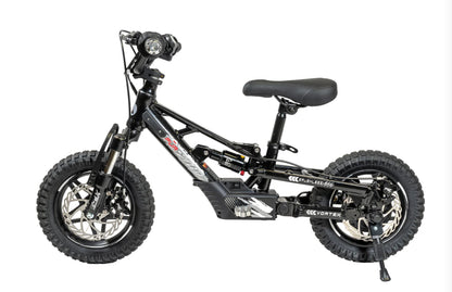 **ALL NEW** Pur-Speed 12" Xtreme Ultra 250W 36V 5ah