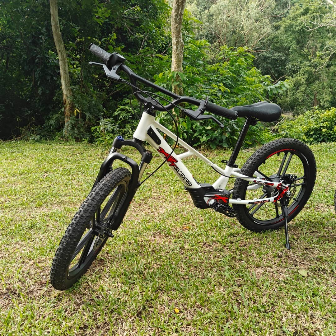 XRT Moto 20” REBEL ECO 350W 36V 5.2ah