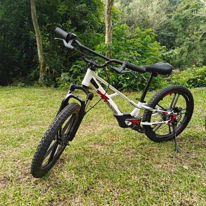 XRT Moto 20” REBEL ECO 350W 36V 5.2ah