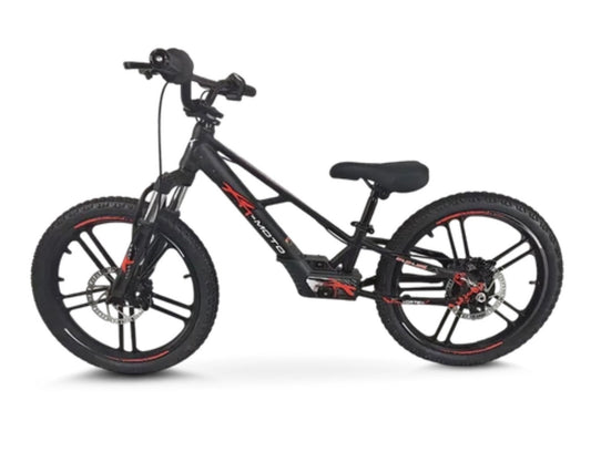 XRT Moto 20” REBEL ECO 350W 36V 5.2ah