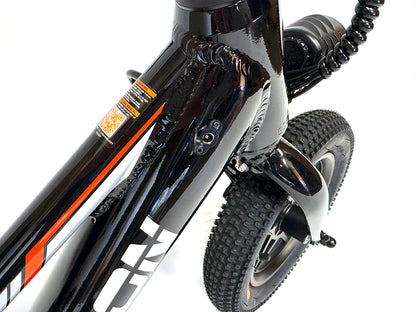 Orion e12X 12" 250W 24V 8ah Electric Balance Bike - PRE-ORDER - EST SHIPPING - 08/18/25