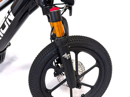 Orion e16X 16" 350W 36V 8ah Electric Balance Bike - FAST & FREE SHIPPING