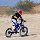 Voltaic Youth Electric Dirt Bike 20'' Flying Fox 48V - SHIPPING 1/10/25